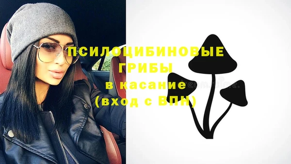 гидра Алексин