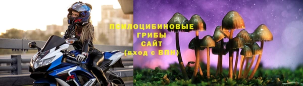 ECSTASY Алзамай