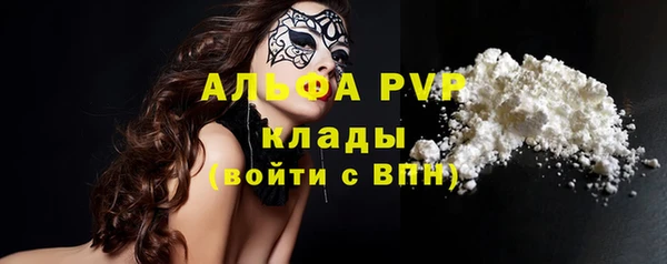 ECSTASY Алзамай