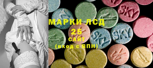 ECSTASY Алзамай