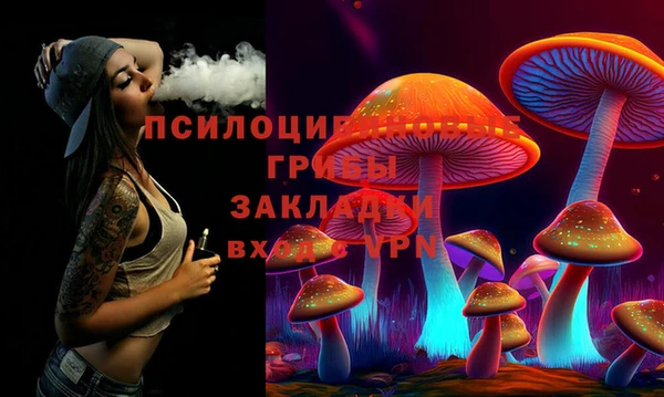 гидра Алексин