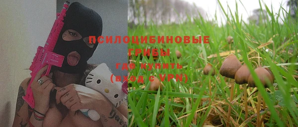 гидра Алексин