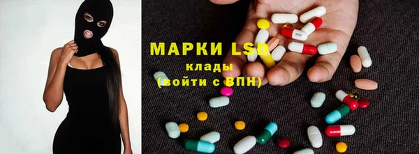 ECSTASY Алзамай