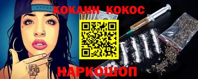 гидра Заводоуковск