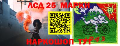 стафф Заволжье