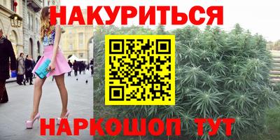 гидра Заводоуковск