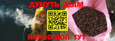 гидра Заводоуковск