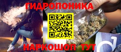 стафф Заволжье