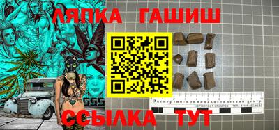 гидра Заводоуковск